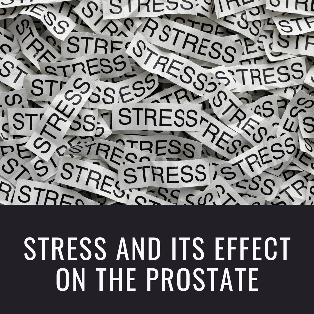 Stress and Its Effect on the Prostate